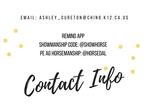 Contact Info 